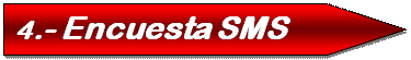 Pentagon: 4.- Encuesta SMS